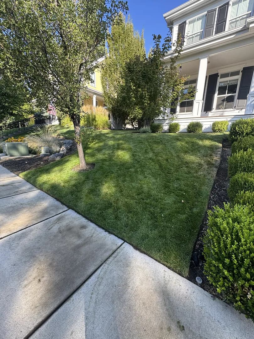 Gallery photos for What Weekly Lawn Care Actually Looks Like in Bend Oregon: Image #3