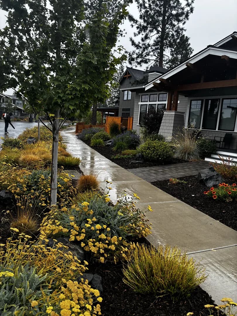 Gallery photos for Fresh Mulch, Tight Edges, and a Lawn That Stays Sharp: Image #1