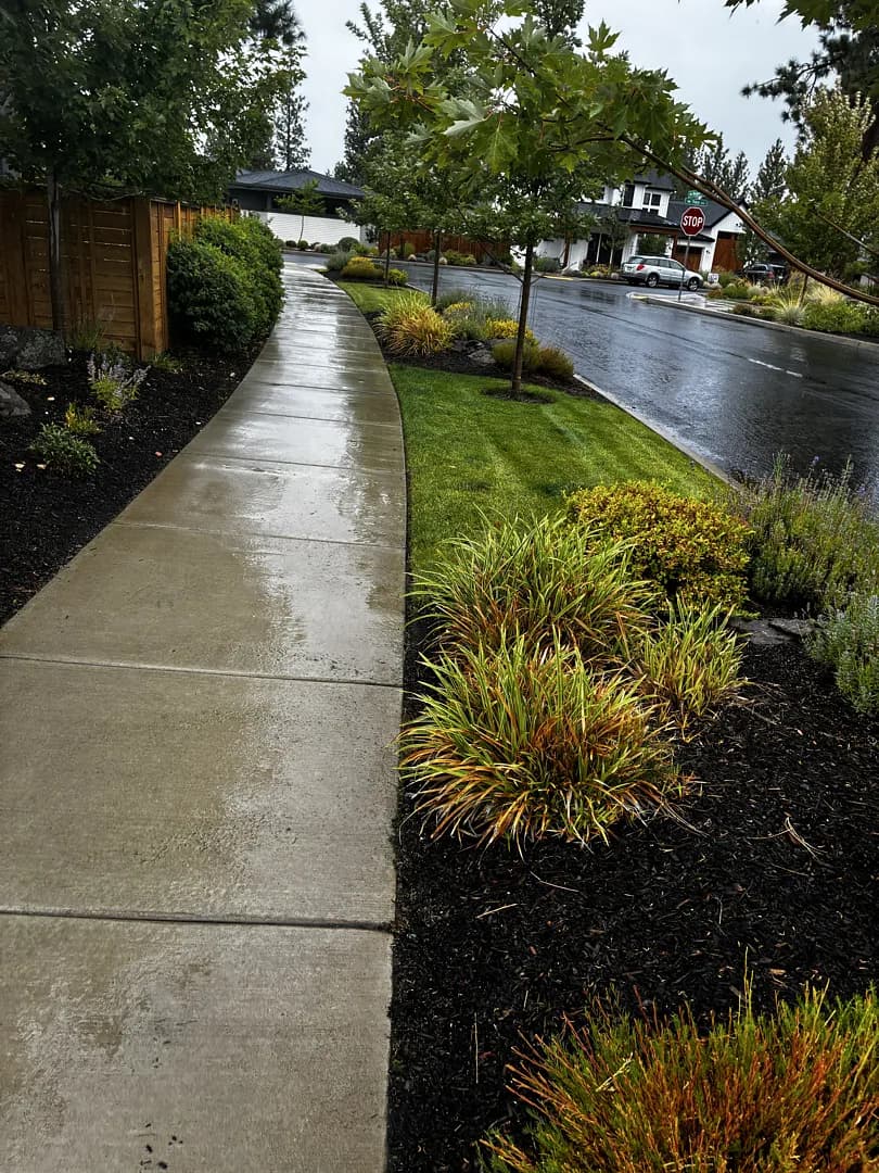 Gallery photos for Fresh Mulch, Tight Edges, and a Lawn That Stays Sharp: Image #2