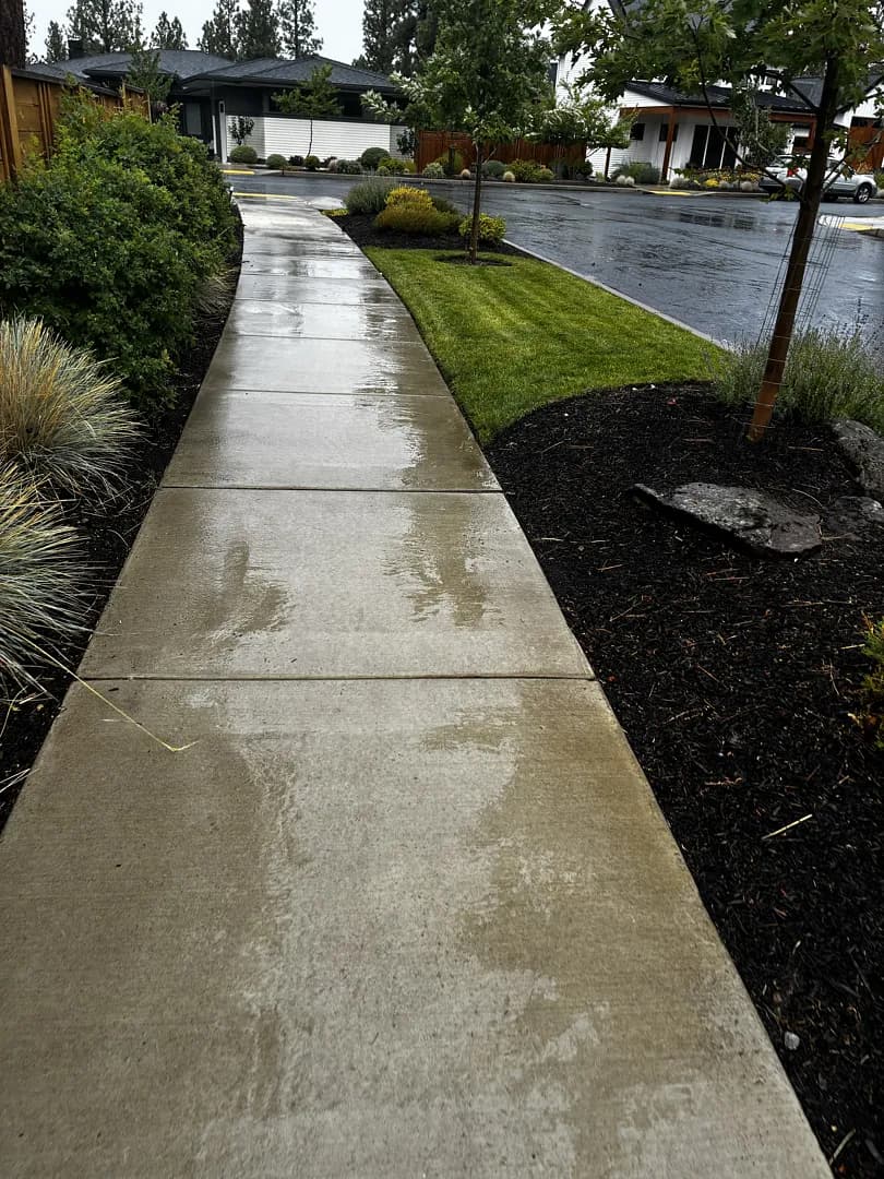 Gallery photos for Fresh Mulch, Tight Edges, and a Lawn That Stays Sharp: Image #3