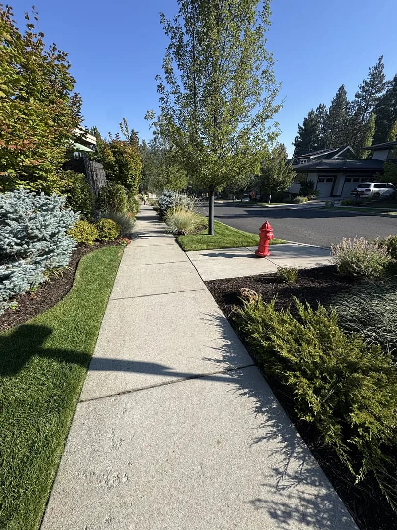 Weekly Lawn Care That Keeps Your Property Looking Sharp image