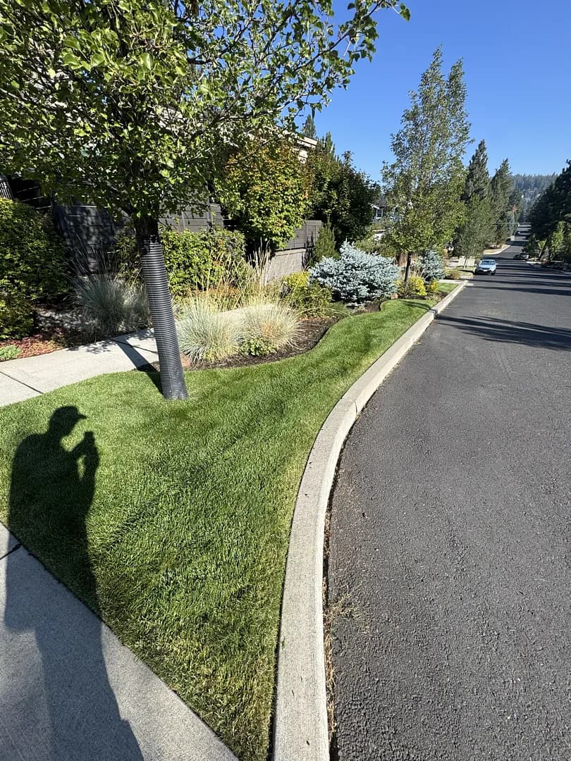 Gallery photos for Weekly Lawn Care That Keeps Your Property Looking Sharp: Image #2