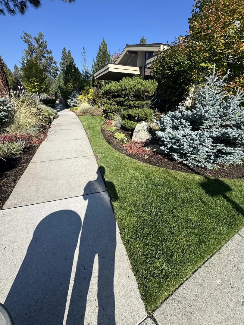 Gallery photos for Weekly Lawn Care That Keeps Your Property Looking Sharp: Image #1