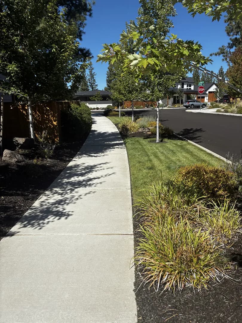Healthy Grass Doesn't Happen by Accident image