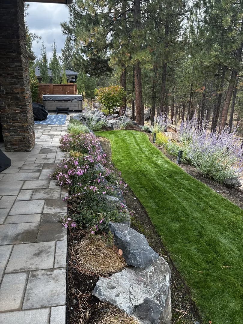 Backyard Maintenance Done Right - Clean Lines, Tidy Plantings image