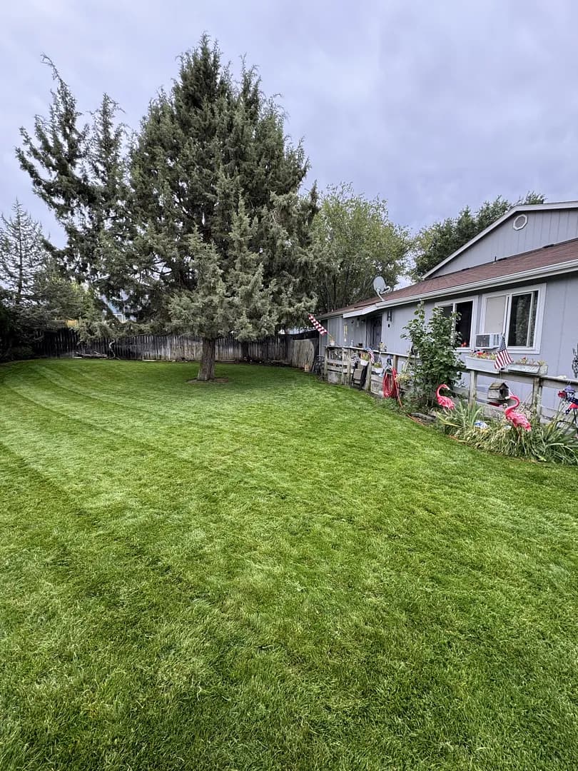 Crisp Mow Lines and a Lush Lawn Every Single Week image