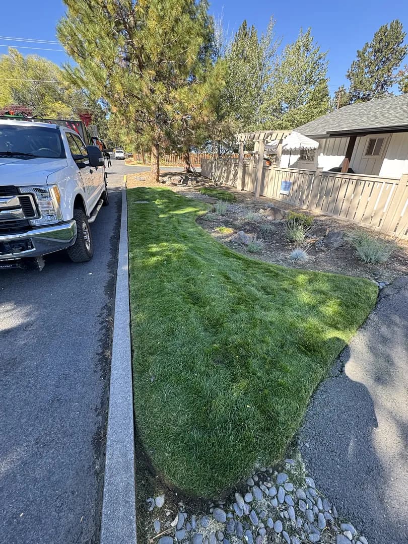 Clean Cut Lawn Mowing That Makes the Whole Yard Pop image