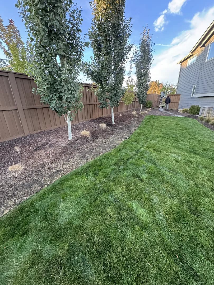 Full Backyard Landscape Maintenance With Fire Pit and Paver Walkway image