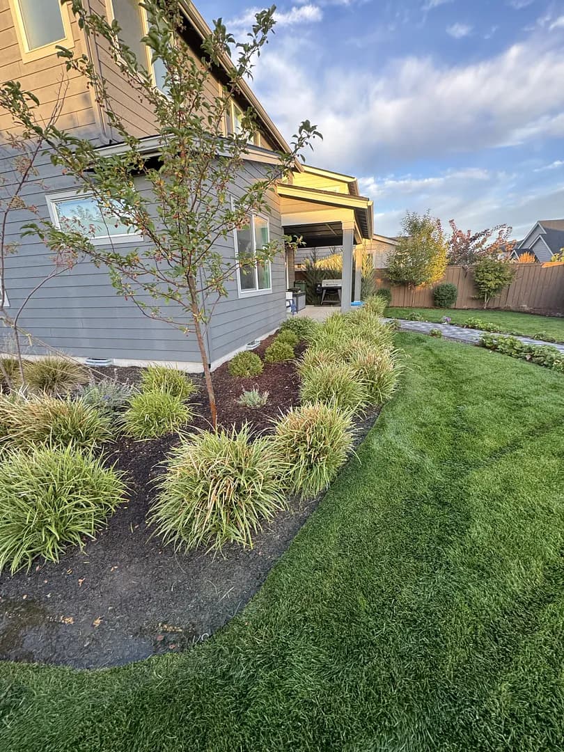 Gallery photos for Full Backyard Landscape Maintenance With Fire Pit and Paver Walkway: Image #1