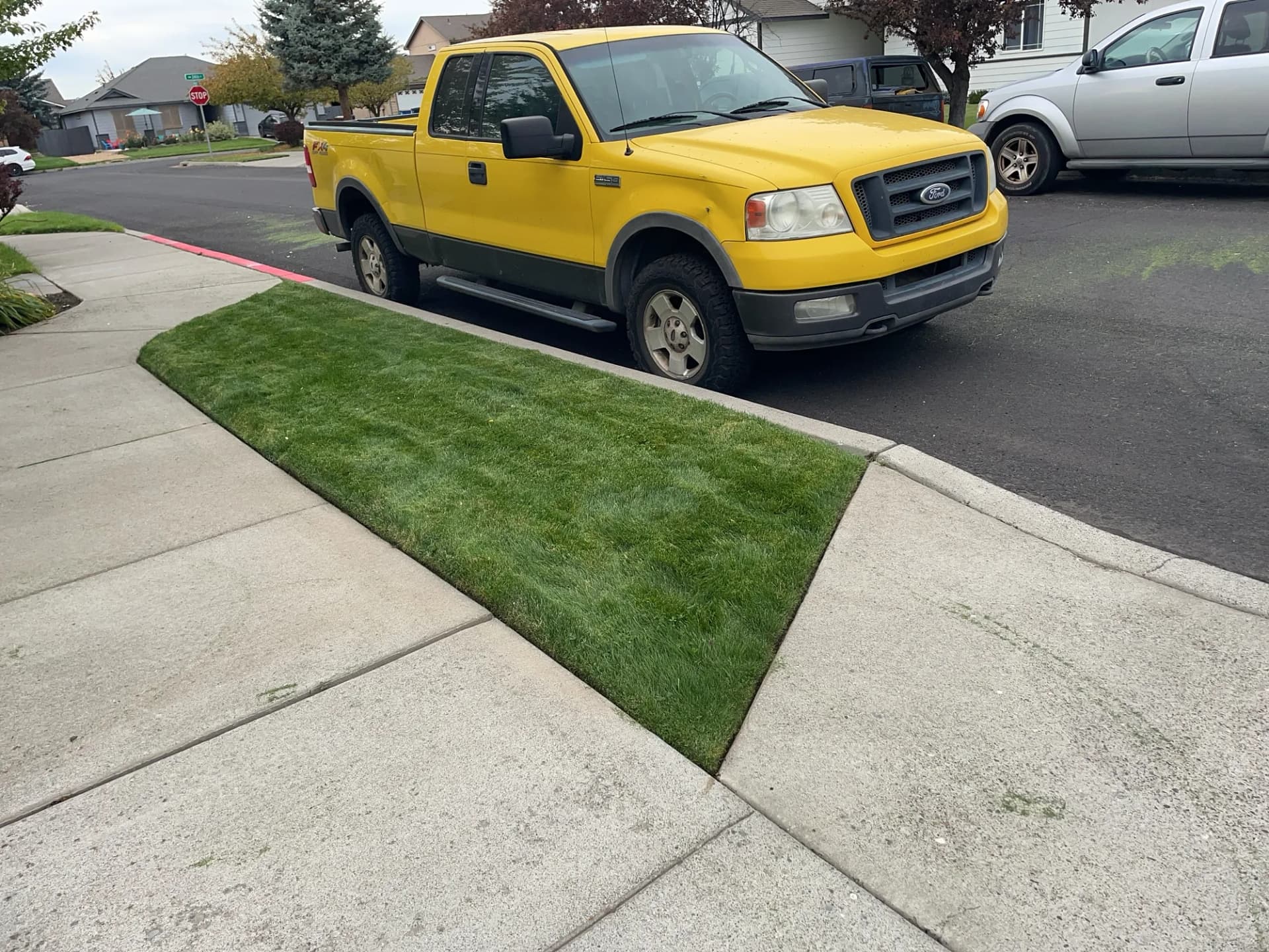 Gallery photos for Front Yard, Curbside Strip, and Backyard Lawn Mowing Done Right: Image #1
