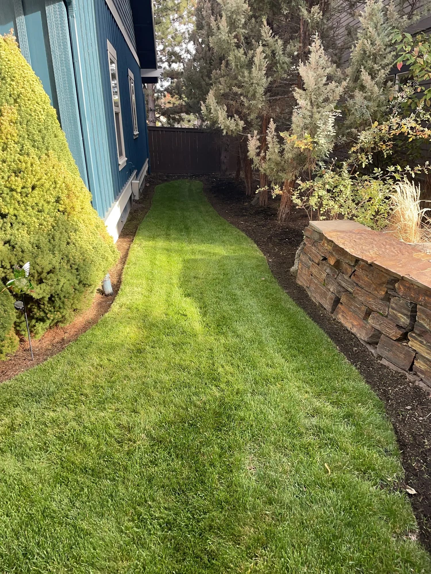 Clean Mow, Tight Edges, and Beds That Actually Look Maintained image