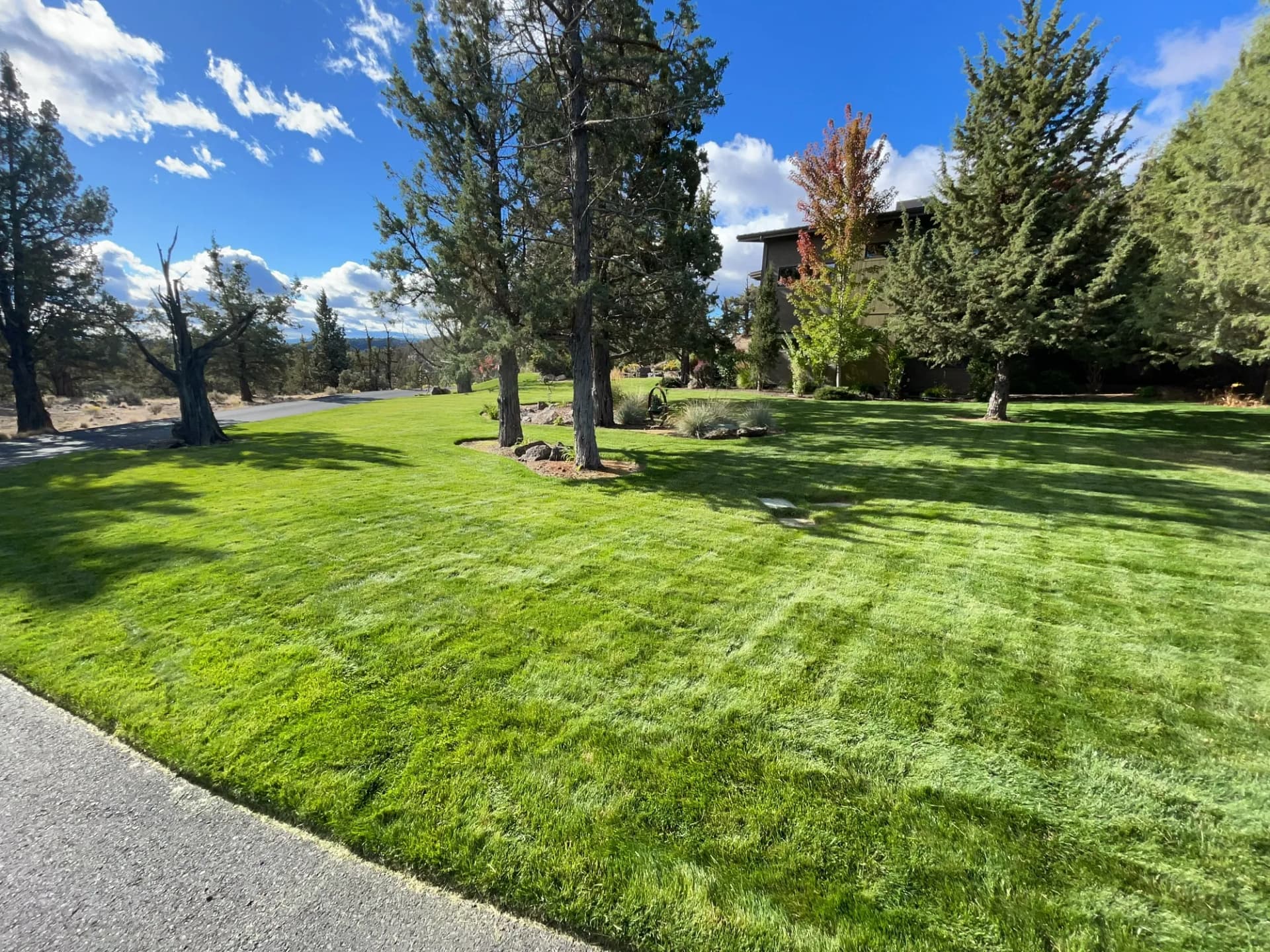 What Year-Round Lawn Maintenance Actually Looks Like image