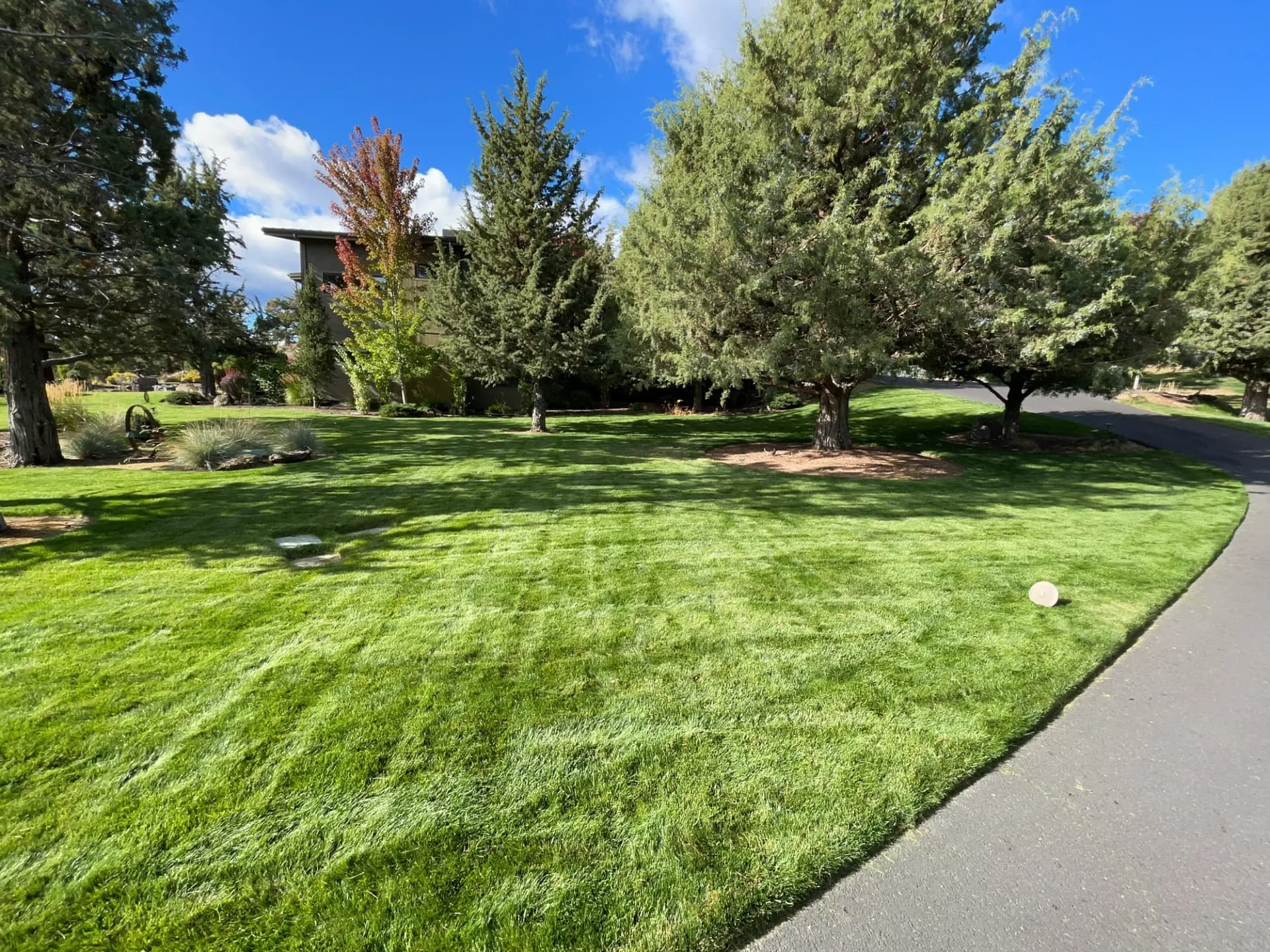 Gallery photos for What Year-Round Lawn Maintenance Actually Looks Like: Image #1