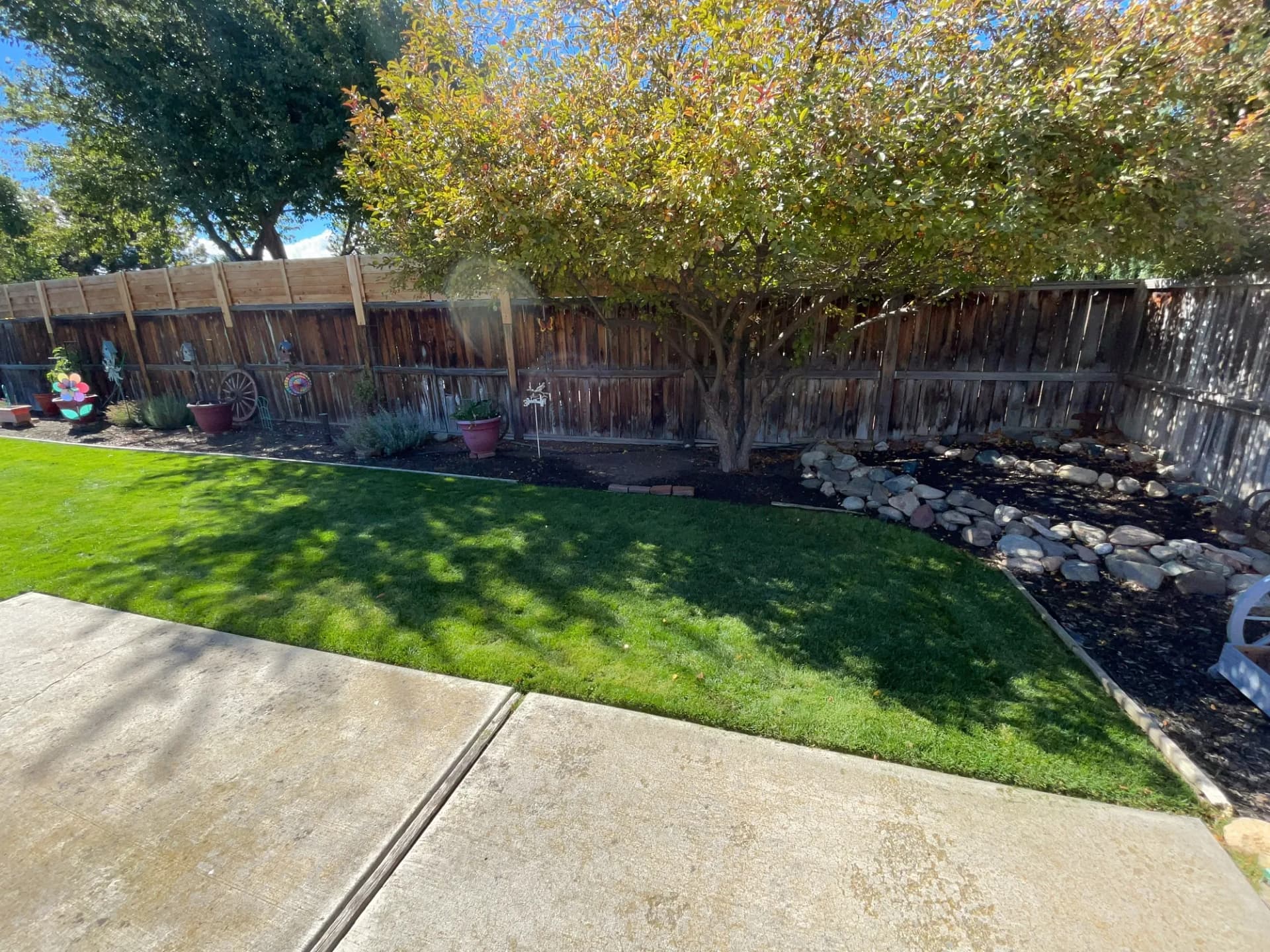 Clean Edges, Fresh Mulch, and a Lawn That Shows It image