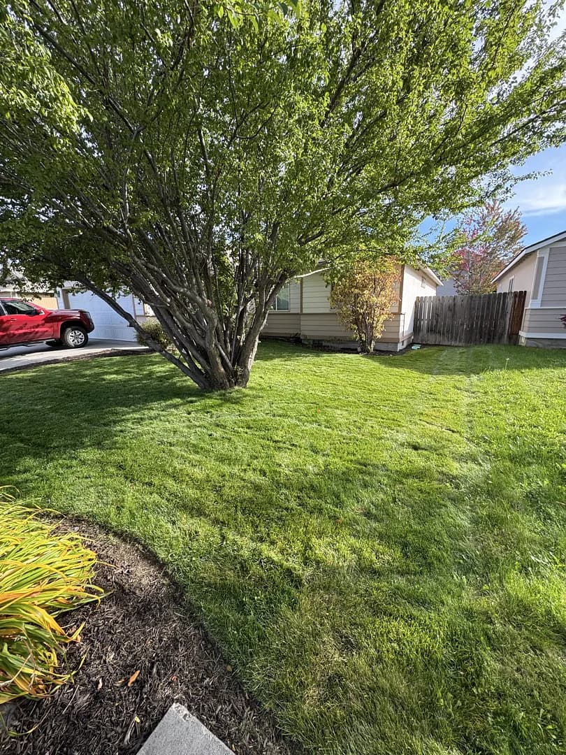 Clean Cuts and Sharp Edges on Every Lawn We Touch image