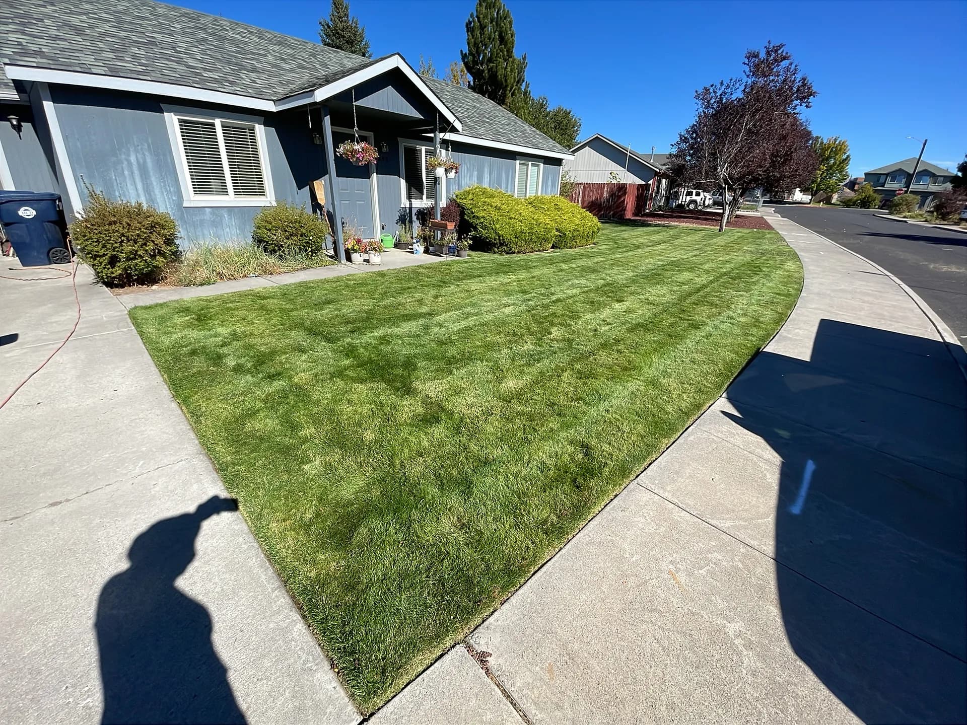 What Full-Service Lawn Maintenance Actually Looks Like image