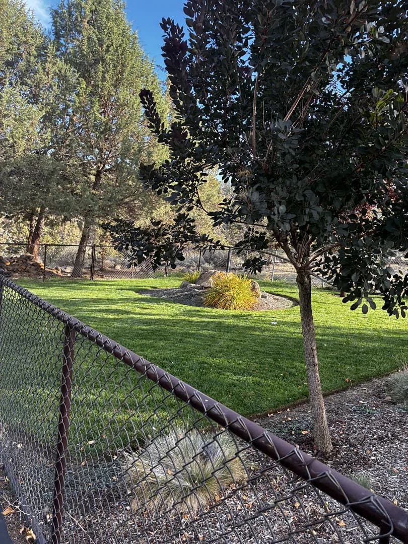 Gallery photos for Fall Lawn Mowing in Redmond Keeping Yards Sharp: Image #1