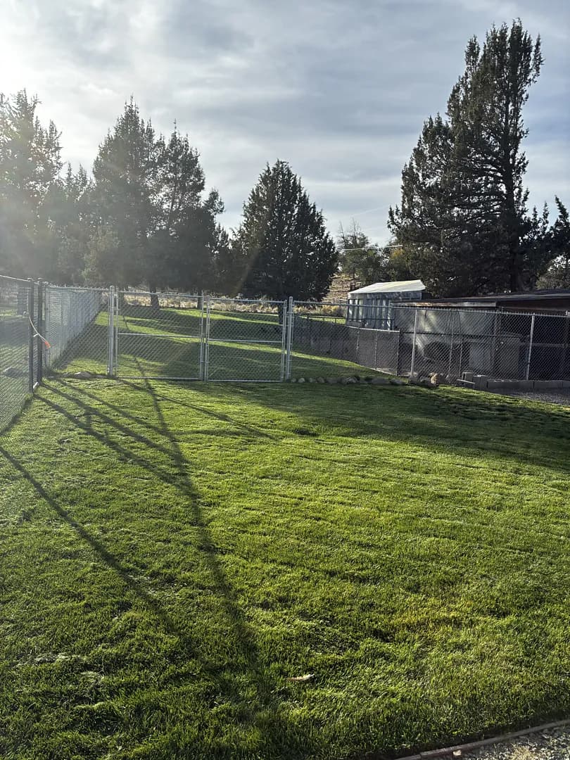 Gallery photos for Fall Lawn Mowing in Redmond Keeping Yards Sharp: Image #2