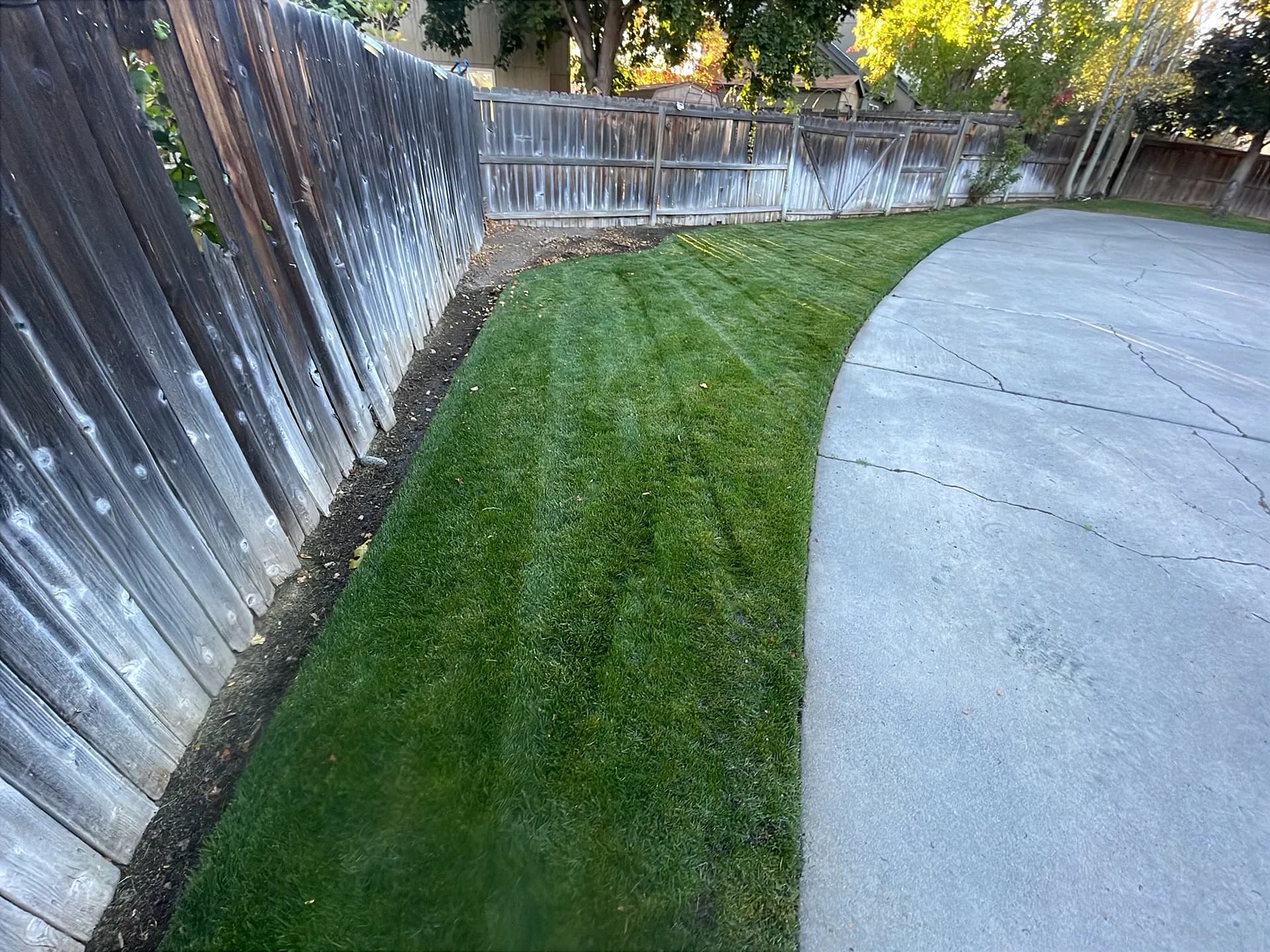 Sharp Stripes and Clean Edges on a Bend Lawn image