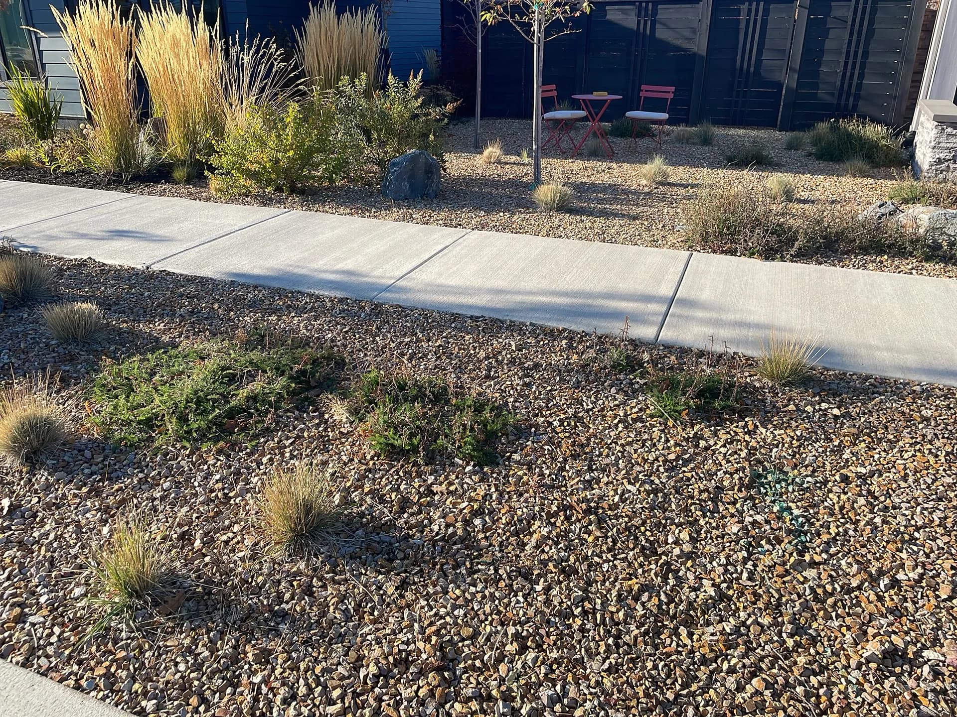Gallery photos for Routine Landscape Maintenance Keeping This Yard Sharp Into Fall: Image #1