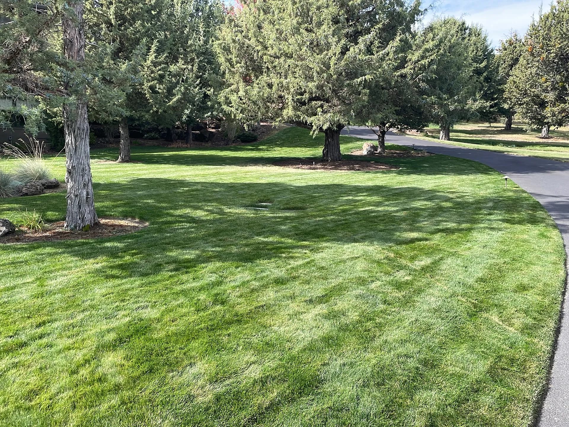 Sharp Lawn Mowing and Clean Tree Rings at a Bend Property image