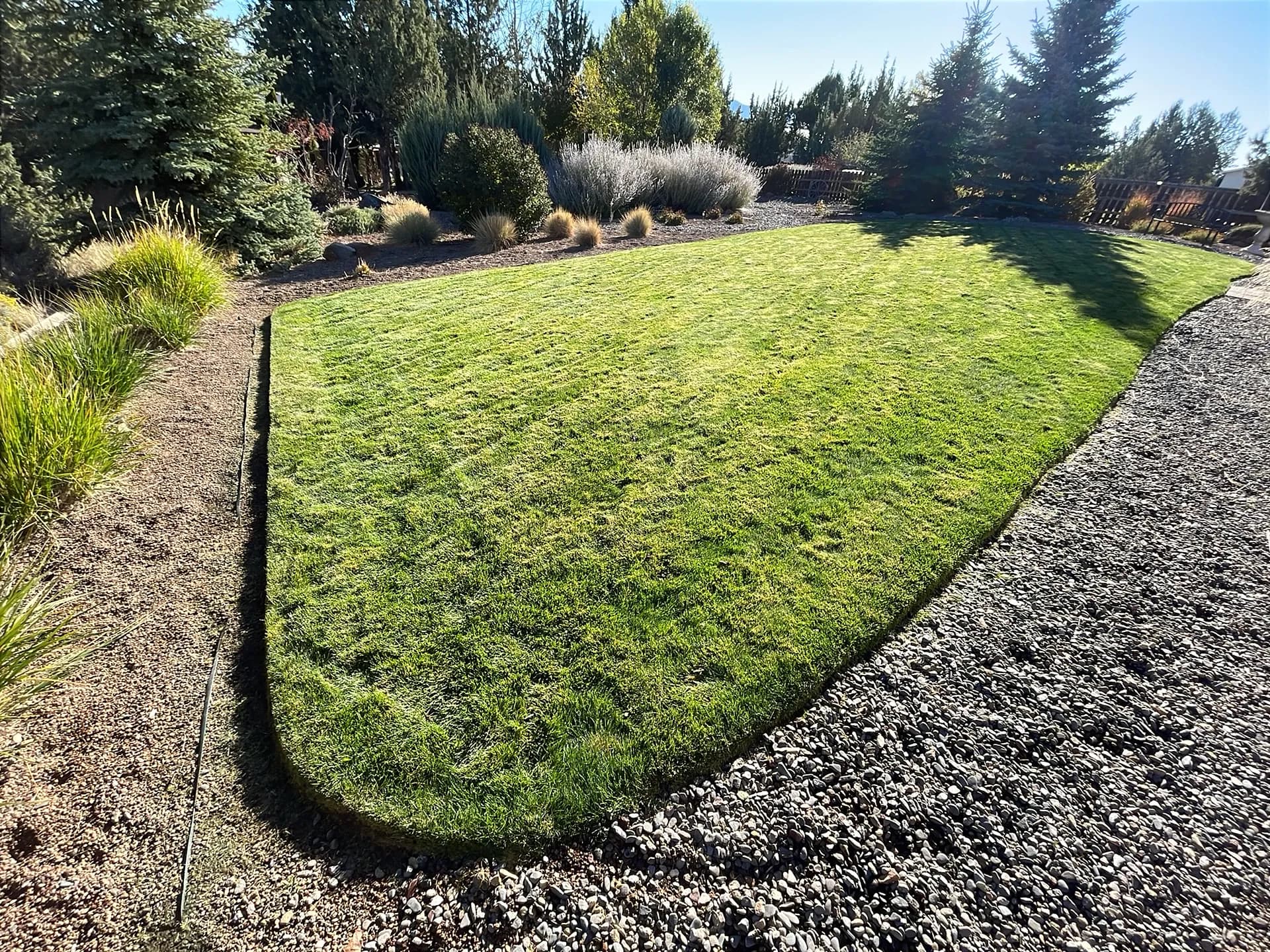 Clean Lines and a Sharp Lawn in Redmond image