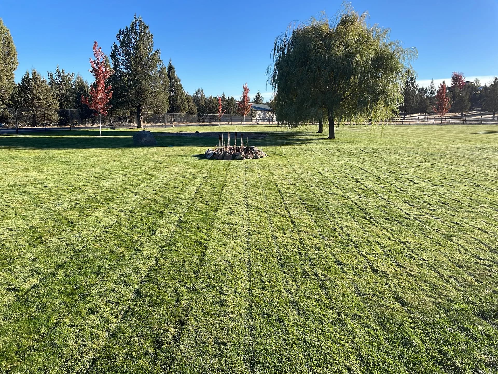 Gallery photos for Redmond Lawns Still Looking Sharp This Fall: Image #3
