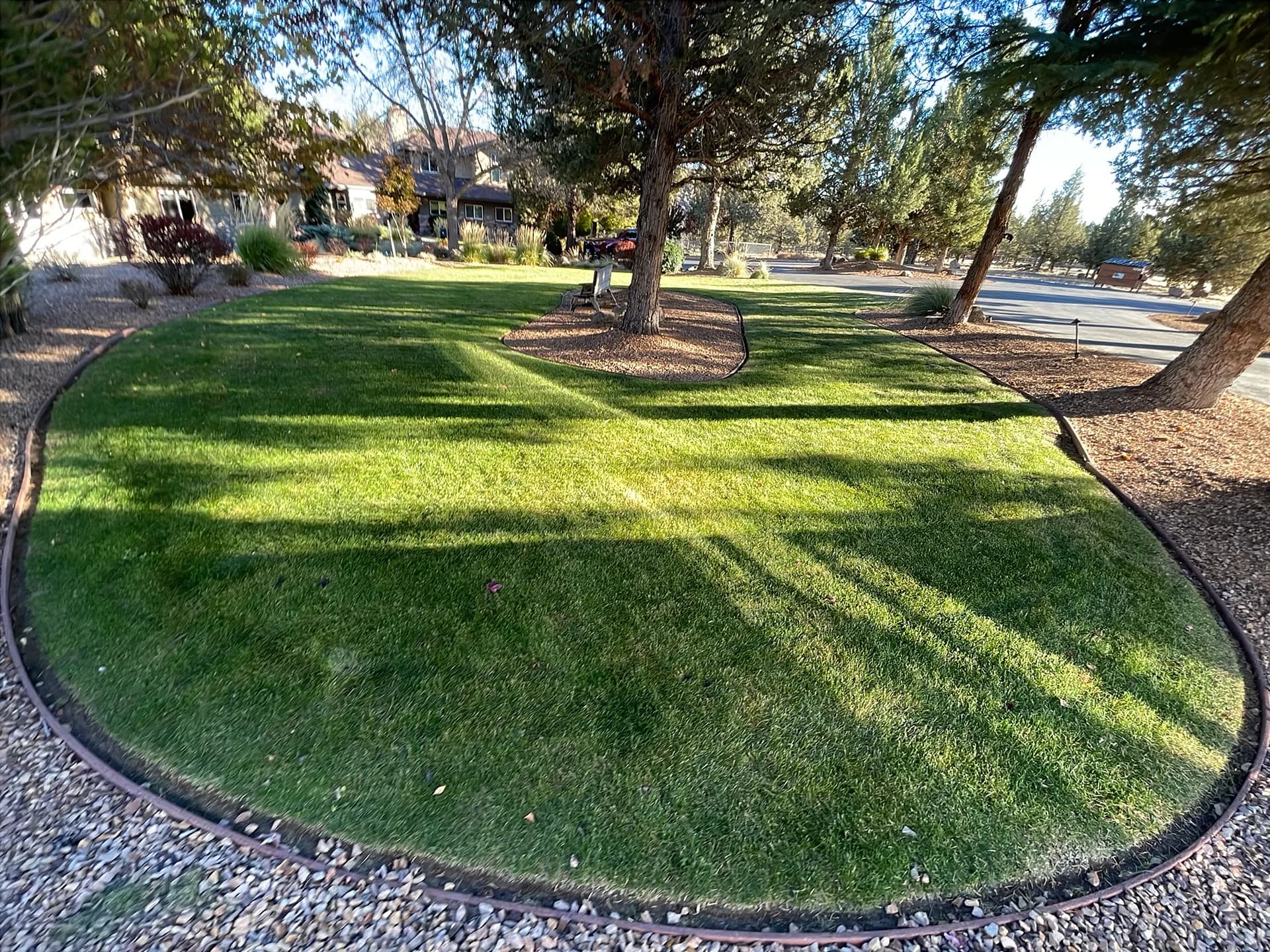Gallery photos for Redmond Lawns Still Looking Sharp This Fall: Image #1