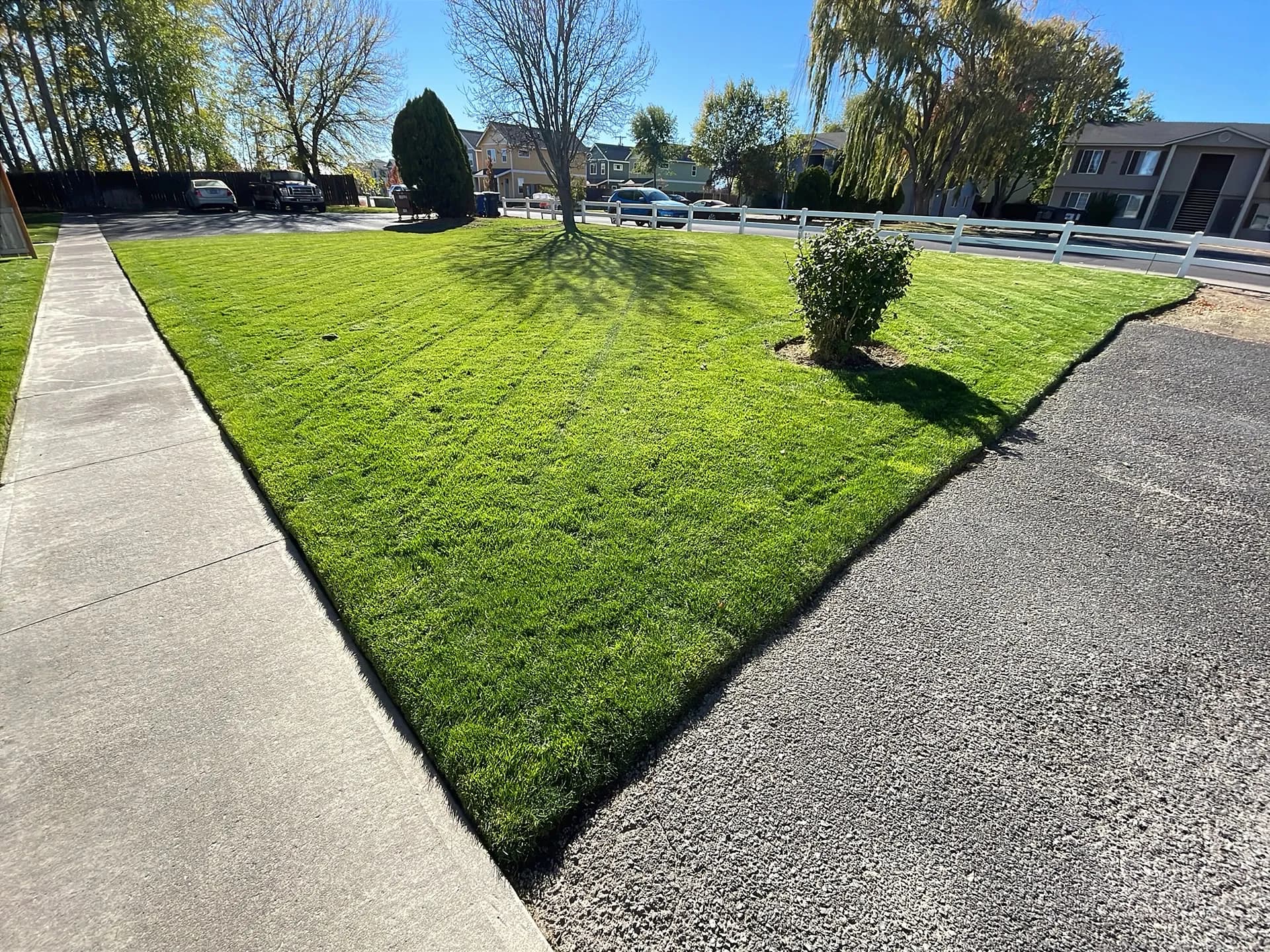 Fresh Cut Stripes and Sharp Edges in Redmond image