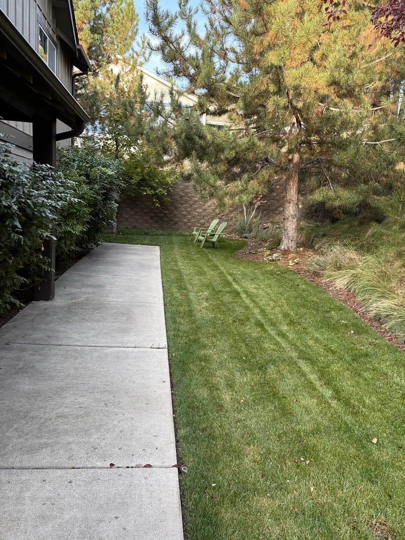 Precision Mow and Clean Edges in a Bend Backyard image