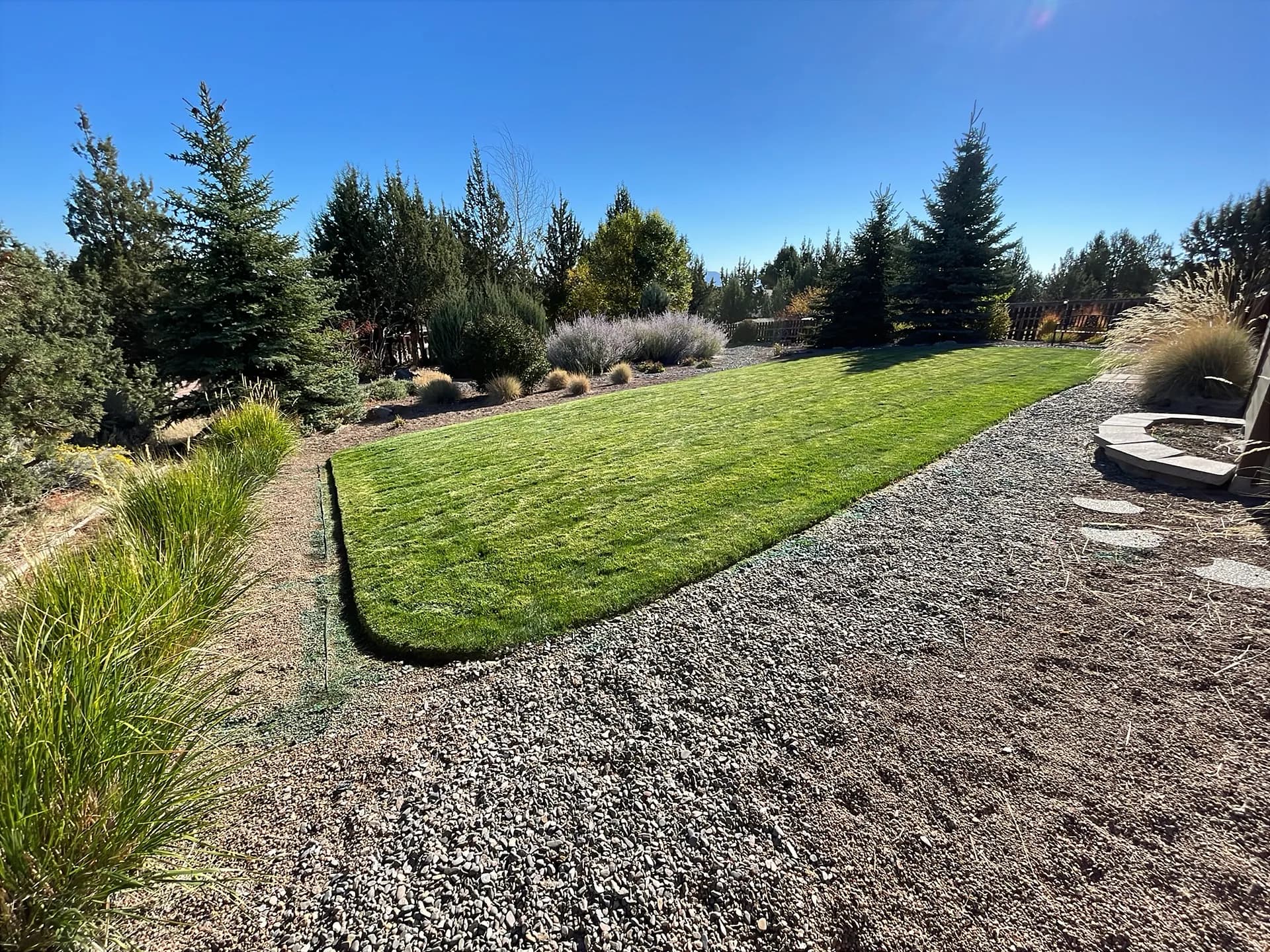 Crisp Edges and a Clean Cut on This Redmond Backyard Lawn image
